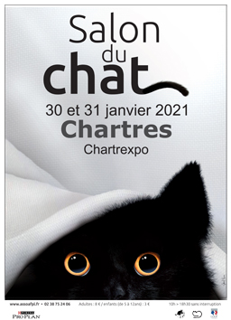 salon-international-du-chat