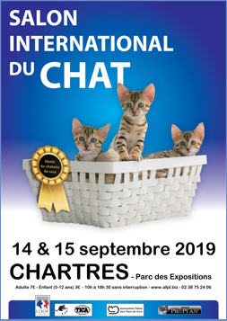 salon-international-du-chat